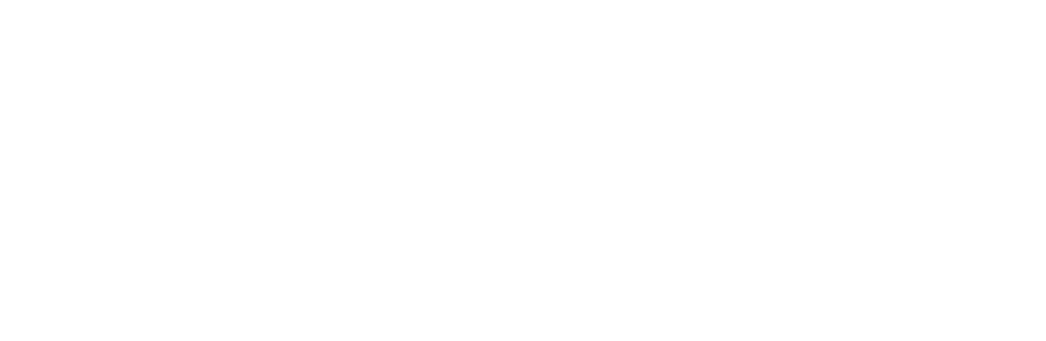 Carburgo Seminovos logo white version